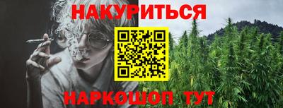 шишки Гудермес
