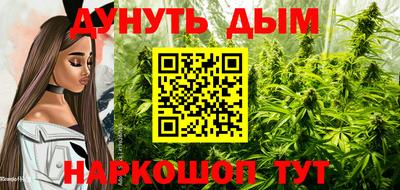 шишки Гудермес