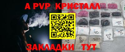 шишки Гудермес