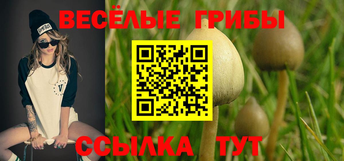 Горячий Ключ  Псилоцибиновые грибы ЛСД  Вход с VPN 